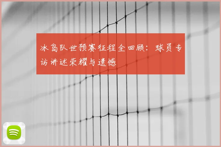冰岛队世预赛征程全回顾：球员专访讲述荣耀与遗憾