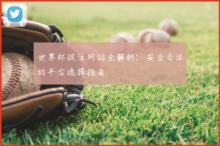 世界杯投注网站全解析:安全合法的平台选择指南