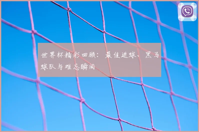 世界杯精彩回顾：最佳进球、黑马球队与难忘瞬间