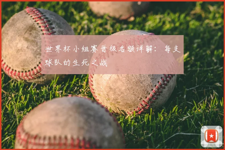 世界杯小组赛晋级名额详解:每支球队的生死之战