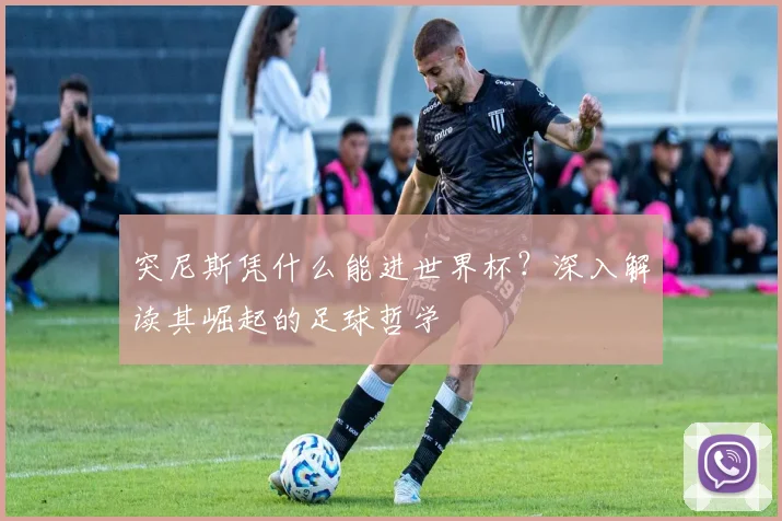 突尼斯凭什么能进世界杯？深入解读其崛起的足球哲学