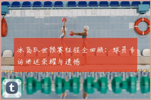 冰岛队世预赛征程全回顾：球员专访讲述荣耀与遗憾