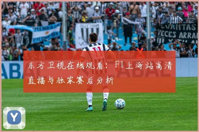 东方卫视在线观看:F1上海站高清直播与独家赛后分析