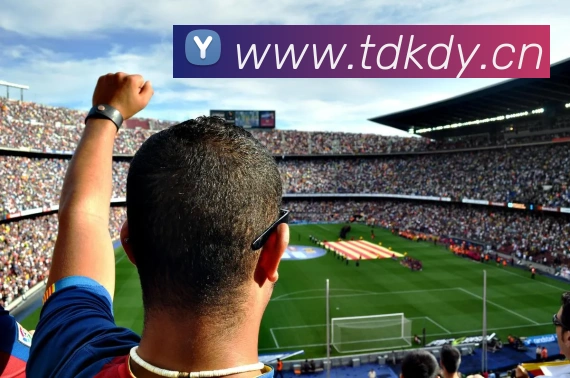 星空体育(中国)官方网站品牌故事